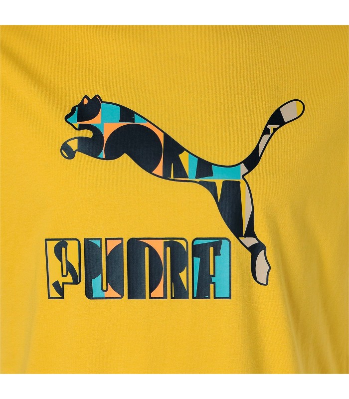 Puma vīriešu T-krekls HC Graphic 533632*31 (10)