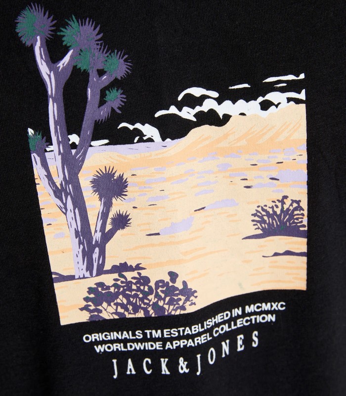 Jack & Jones мужская футболка 12253613*02 (2)