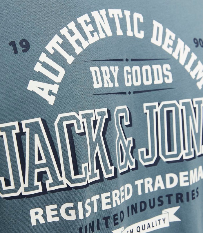 Jack & Jones vīriešu T-krekls 12254862*03 (1)
